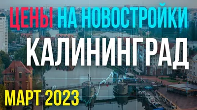 Калининград вошел в топ-10 популярных направлений отдыха с детьми в марте -  KP.RU