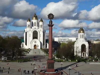 В Калининграде в марте резко выросла стоимость аренды квартир - Новости  Калининграда - Новый Калининград.Ru