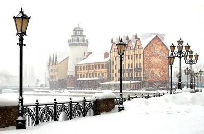 Калининград зимой фото фото