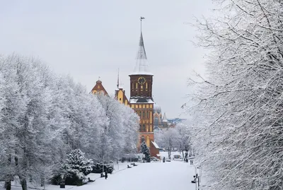 АЛЕАН - ⛪Зимний Калининград 📍Рыбная Деревня и Остров Канта.... | فيسبوك