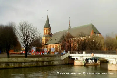 Winter weather in Kaliningrad. New attraction in Svetlogorsk - YouTube