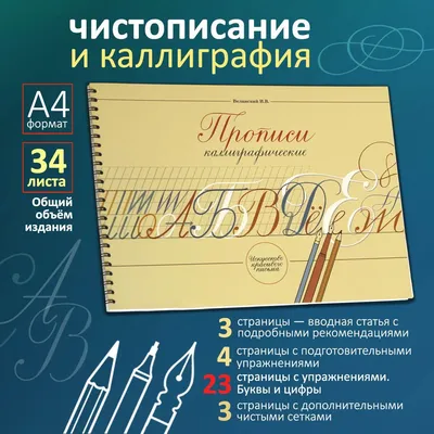 Сказочная каллиграфия: Увлекательное Чистописание - купить дошкольного  обучения в интернет-магазинах, цены на Мегамаркет |