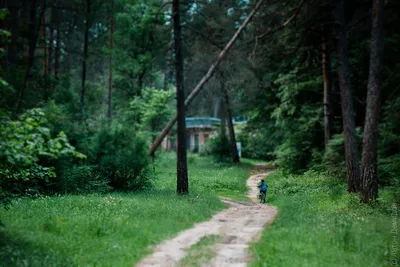 Калуга-Бор, детский психоневрологический санаторий, улица Калуга-Бор, 3,  Калуга — 2ГИС