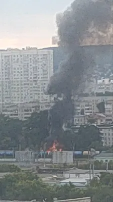 В районе новой набережной Саратова дерево упало на автомобили | 05.06.2023  | Саратов - БезФормата