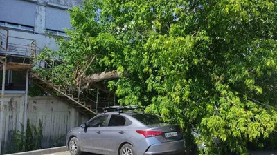 Вместо Волжской новый мурал начали рисовать на Чернышевского | 19.07.2023 |  Саратов - БезФормата