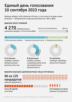 Выборымэра.рф Новосибирск 2019