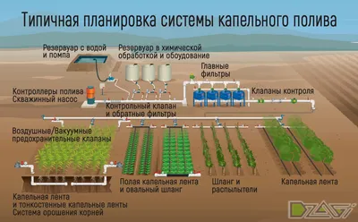 Нужен ли Вам капельный полив?