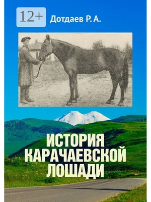 Прекрасные изображения Карачаевской лошади для использования в рекламе