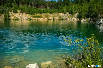 Природный парк «Караканский бор» появился в Новосибирской области