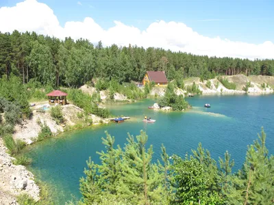 Караканский бор и Обское море :: ВЕРА КРУГЛОВА – Социальная сеть ФотоКто