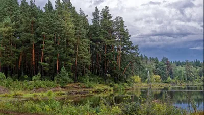 Мраморное озеро Караканский бор (Много фото) - treepics.ru