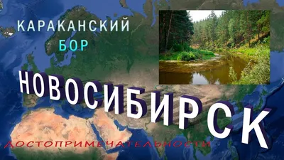 Отзывы о «Караканский бор», Новосибирская область, Ордынский район, село  Нижнекаменка, Советская улица, 9 — Яндекс Карты