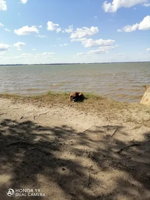 Караканский бор и Мраморное... - Новосибирск - сайт новостей | Facebook