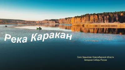 Животные бежали от огня»: в Караканском бору Новосибирской области сгорели  почти 7 гектар леса - KP.RU