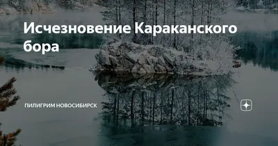 Пансионат Синеморье - Факел Революции, Новосибирская область, фото  пансионата, цены, отзывы