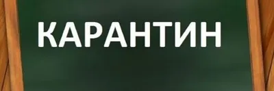 table067 Карантин вход запрещен - купить в интернет-магазине OZON по  выгодной цене (636892777)