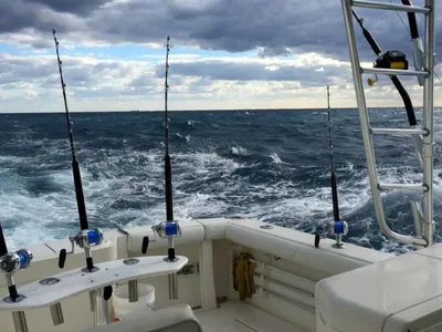 Всем привет👋 продолжение с чего все началось 🦈 | Sochi Fishing Black Sea  | Дзен