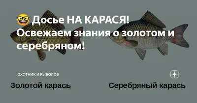 Дорадо горячего копчения с бесплатной доставкой на дом из «ВкусВилл» | Сочи