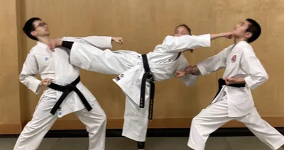 Everything you need to know to about karate kata