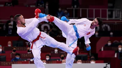 https://www.wkf.net/