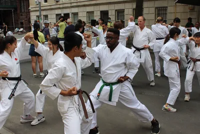 Karate: Could Karate Be a Cure for Anxiety and PTSD? - Parade