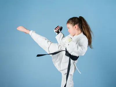 Karate Photos, Images and Pictures