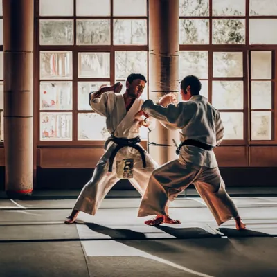 Karate: The Martial Art of Discipline and Self-Improvement | by Dōjō Pass |  Medium