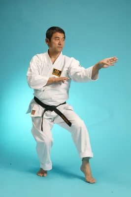 Martial Arts History: Shotokan Karate