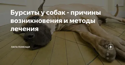 Узелковая кистозная кожа угорь Стоковое Изображение - изображение  насчитывающей волосы, карбункул: 67317233