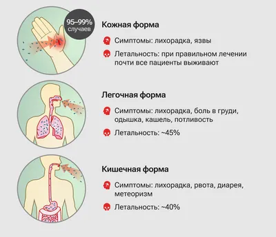 ВЕТБИЦИН-3, 600 000 ЕД, 1 фл. купить в Новосибирске с доставкой в  интернет-магазине ЗооСАТ