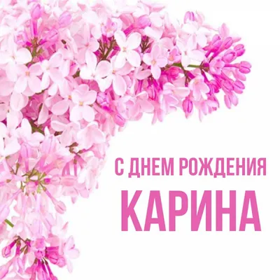 С днем рождения, Карина. | ❖ АТАКА ТИТАНОВ ❖ Amino