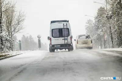 Карповка: последние новости на сегодня, самые свежие сведения | Chita.ru -  новости Читы