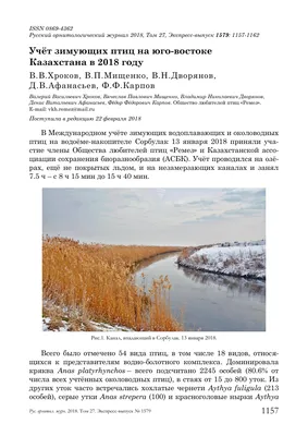 Карповка осенью - Ветрогонский А.В. Подробное описание экспоната, аудиогид,  интересные факты. Официальный сайт Artefact