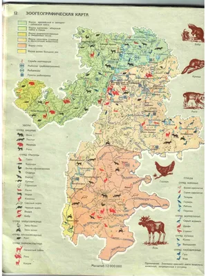 Административная карта Челябинской области 1941 г. - картинка карты  4832x3700