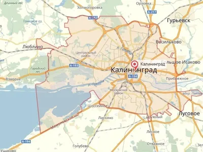 Карта Калининград и окрестности