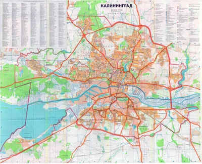 Остались при своих»: в Калининграде заключили новые контракты на перевозку  пассажиров