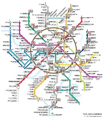 Появилась карта развития метро и МЦД до 2030 года - Москвич Mag
