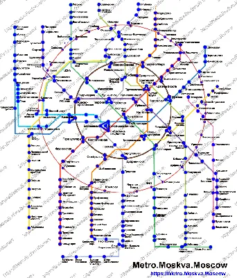 Карта метро и палеометро. Палеонтология московского метро. Окаменелости на  станциях метрополитена