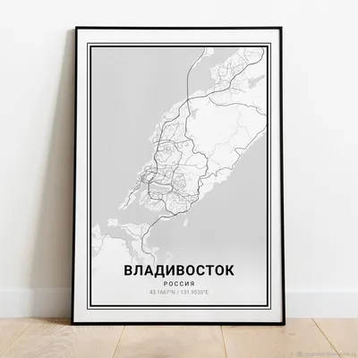 Карта бухты Золотой Рог (г.Владивосток)