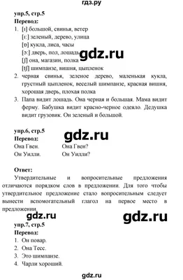 Безударные гласные в корне слова. 2 класс. | Блог Оксаны Бычкуновой