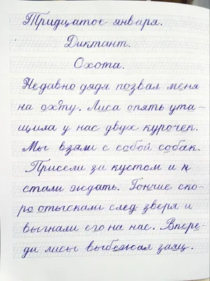 Математика 2 класс. Тренировочные примеры Экзамен 113174712 купить за 151 ₽  в интернет-магазине Wildberries