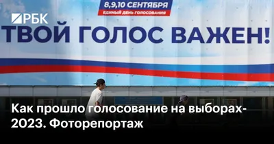 В СПЧ заявили об отсутствии нареканий к ходу электронного голосования в  России