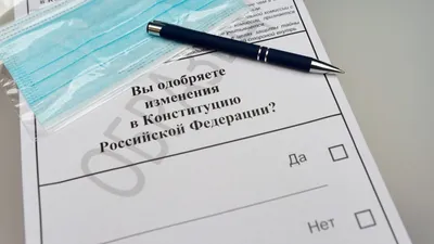 Выборы дистанционно: как проголосовать онлайн через Госуслуги : Псковская  Лента Новостей / ПЛН