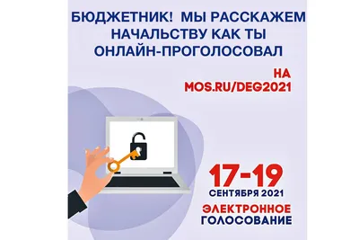 С 15 по 17 ноября на Госуслугах пройдет общероссийская тренировка системы  дистанционного электронного голосования | Официальный сайт органов местного  самоуправления г. Комсомольска-на-Амуре