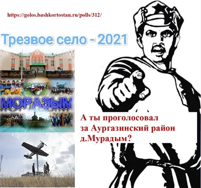 Сколько голосов могла в реальности набрать Светлана Тихановская - Ведомости