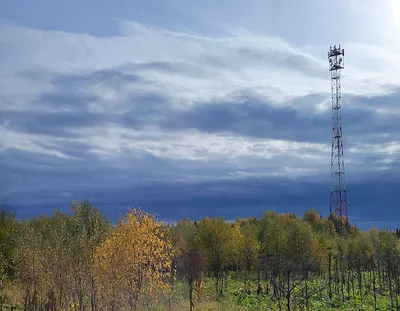 Стартовал прием заявлений на участие в Общероссийской тренировке  дистанционного электронного голосования (ДЭГ)