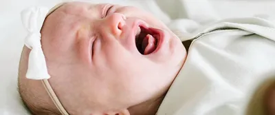 Why babies put everything in their mouths | Lovevery