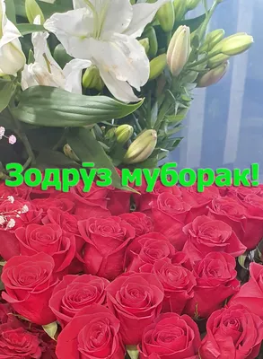 23 февраль зодруз Муборак модарчон｜TikTok Search