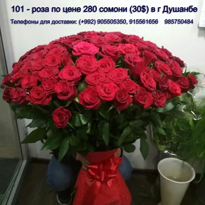 https://www.tiktok.com/discover/%D0%B1%D0%B0%D1%80%D0%BE%D0%B8-%D0%B7%D0%BE%D0%B4%D1%80%D1%83%D0%B7%D0%B8-%D0%BC%D0%BE%D0%B4%D0%B0%D1%80-%D0%B0%D0%B7-%D0%B4%D1%83%D0%BD%D1%91-%D1%80%D0%B0%D1%84%D1%82%D0%B0