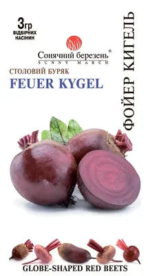 DomKi | Буряк столовий Циліндр 20 г. Ціна, купити Буряк столовий Циліндр 20  г в Києві, Харкові, Дніпрі, Одесі, Запоріжжі, Львові. Буряк столовий  Циліндр 20 г: огляд, характеристики, продаж